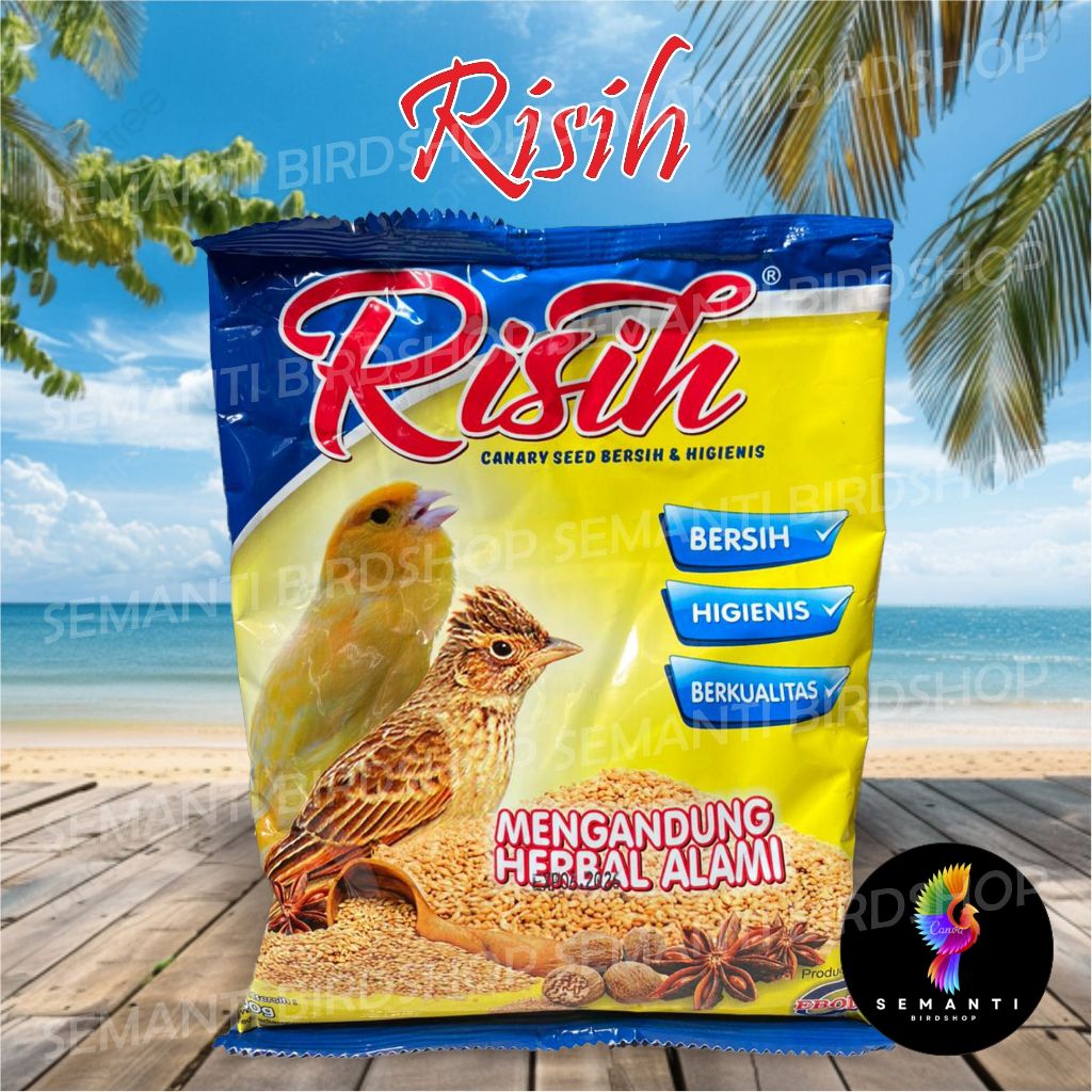 CANARY SEED RISIH BIJI KENARI SEED EBOD JAYA PREMIUM PAKAN MAKANAN BURUNG KENARI BRANJANGAN SANMA