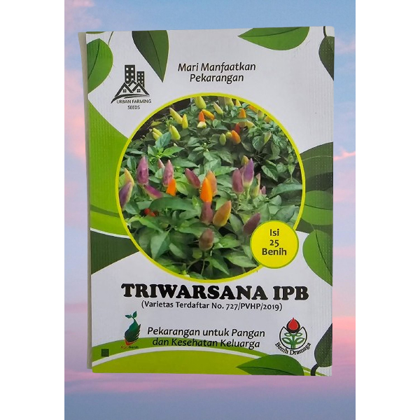 Benih Cabai Pelangi Triwarsana IPB