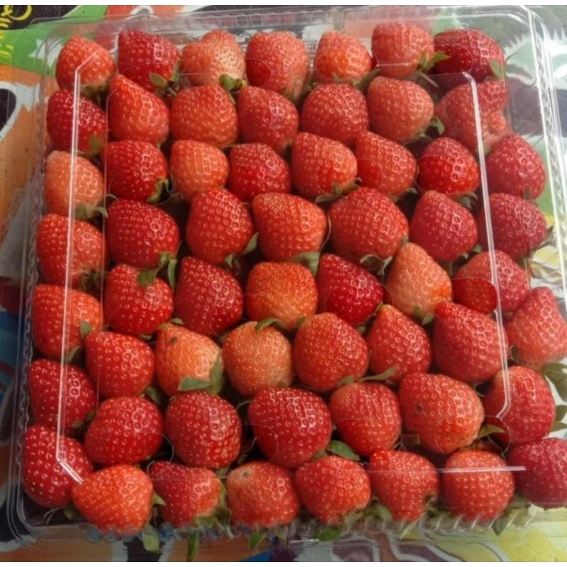 

Strawberry Fresh ukuran 1kg