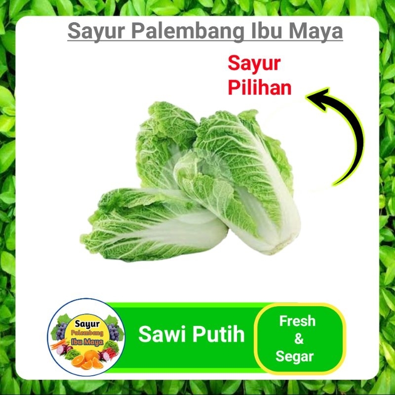 

Sawi Putih Fresh - Sayur Sayuran Segar Fresh Online Palembang