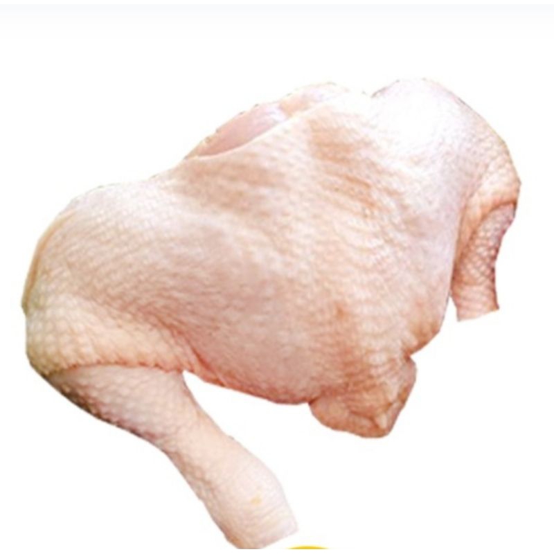 

ayam paha atas utuh besar pasar samarinda
