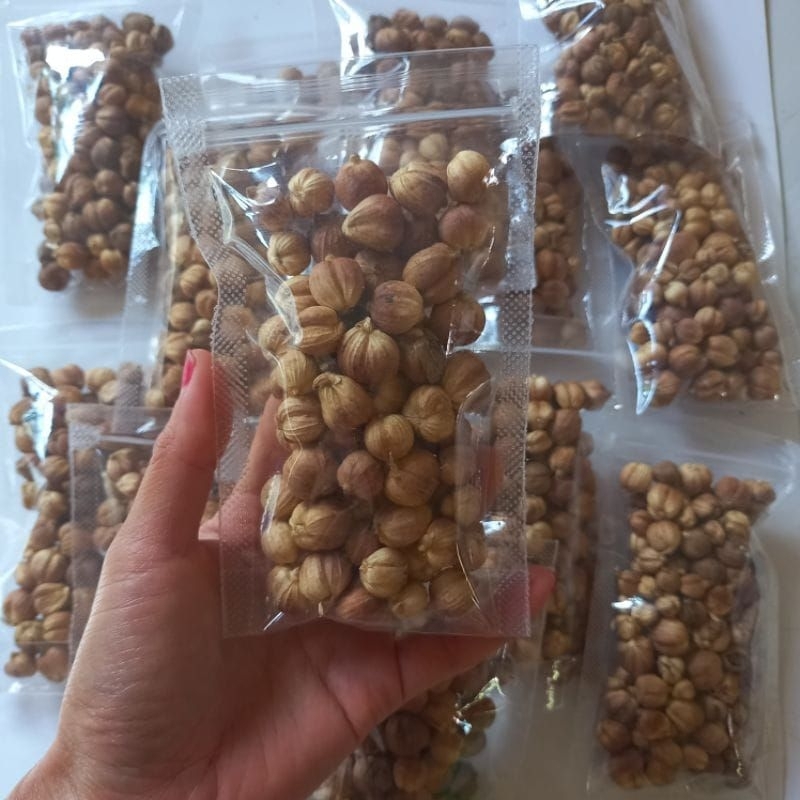 

Kapulaga kering 100 gram bahan bumbu masakan dan minuman herbal
