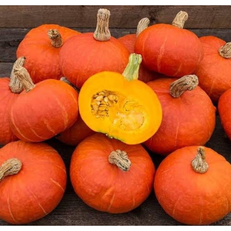 

Kabocha / Labu Kuning
