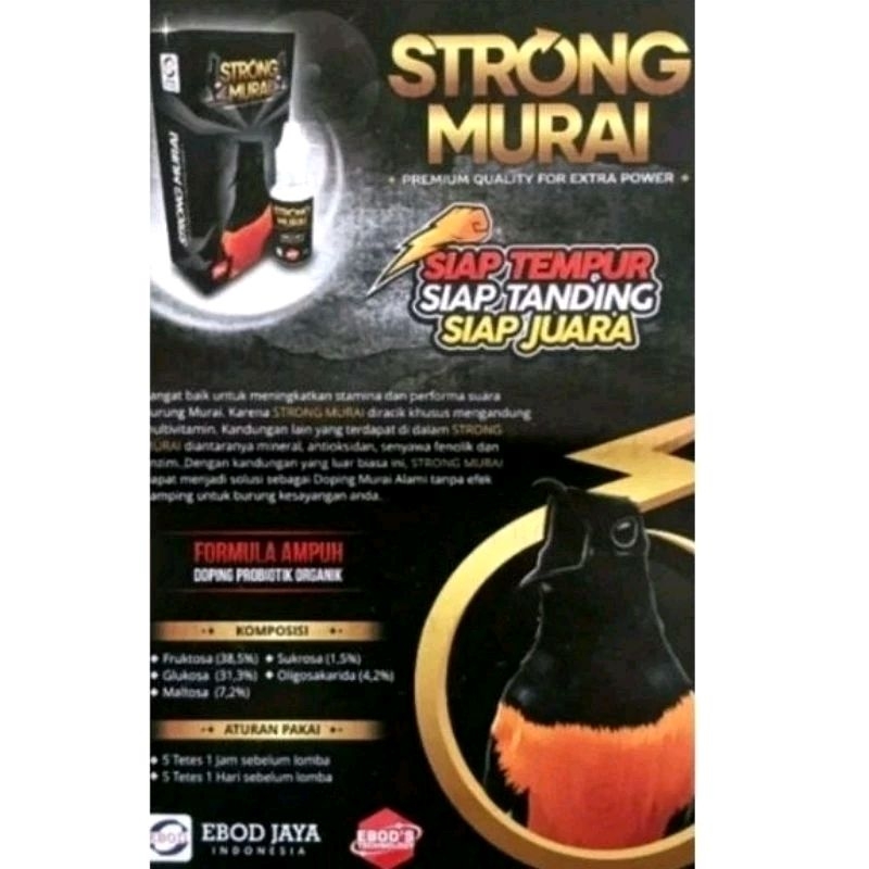 Ebod strong murai original Ebod jaya
