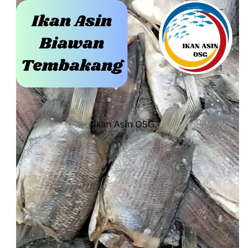 

ikan asin biawan / tembakang 1kg