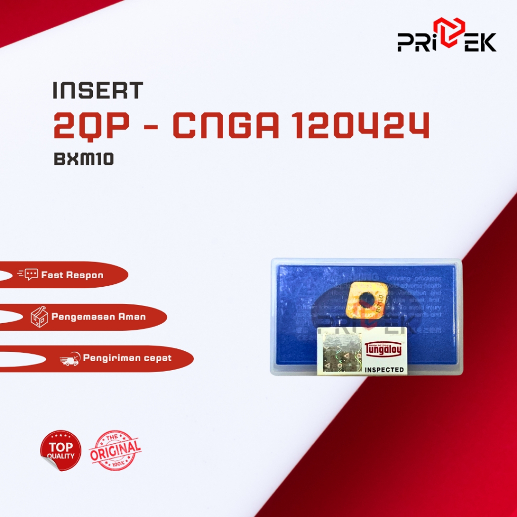 INSERT CNGA 120424 BXM10