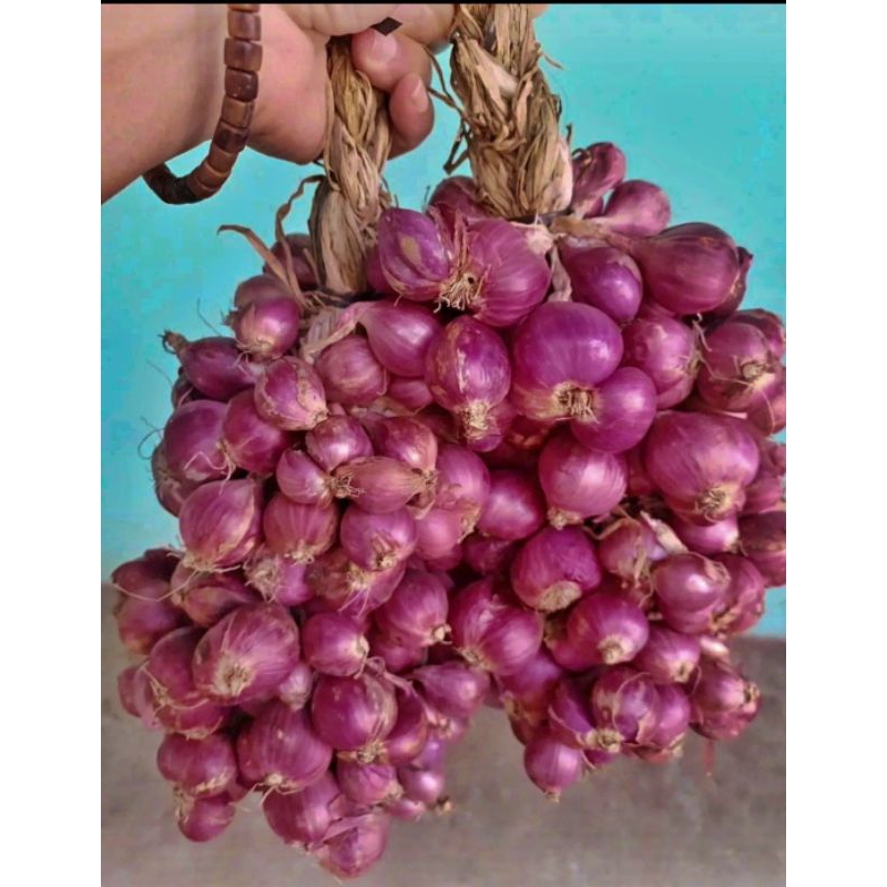 

Bawang merah tanggung 1kg murah