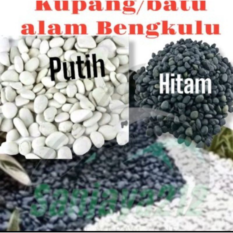 Batu Hias Koral Hitam & Putih Karungan Untuk Taman