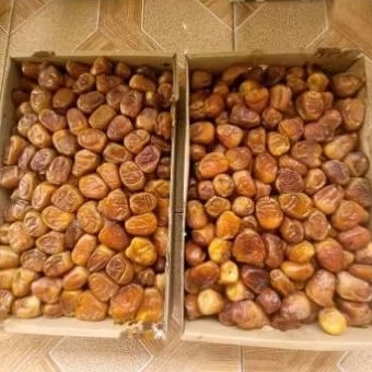 

Kurma Sukari 500 g