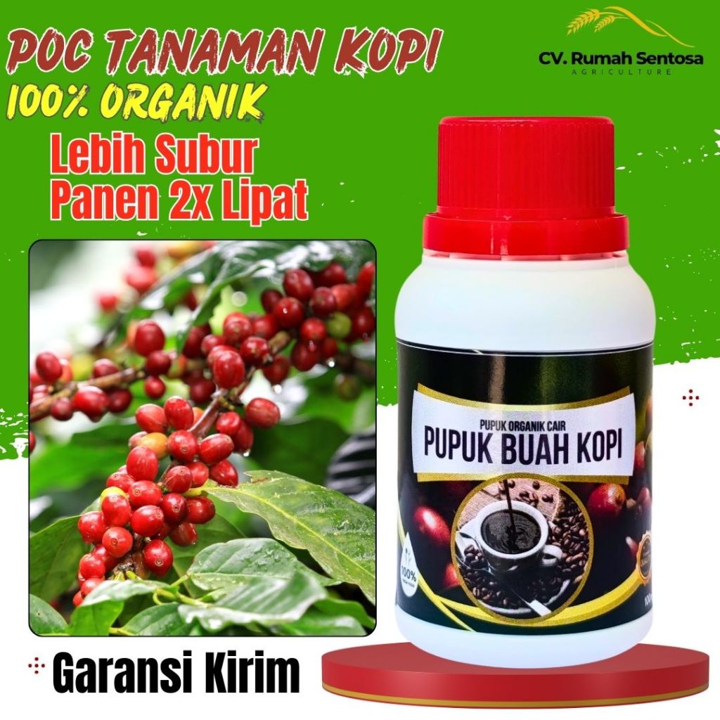 1 LITER Pupuk Kopi Pelebat Buah Pupuk Buah Kopi Lebat Pupuk Booster Kopi Pupuk Pelebat Buah ORGANIK