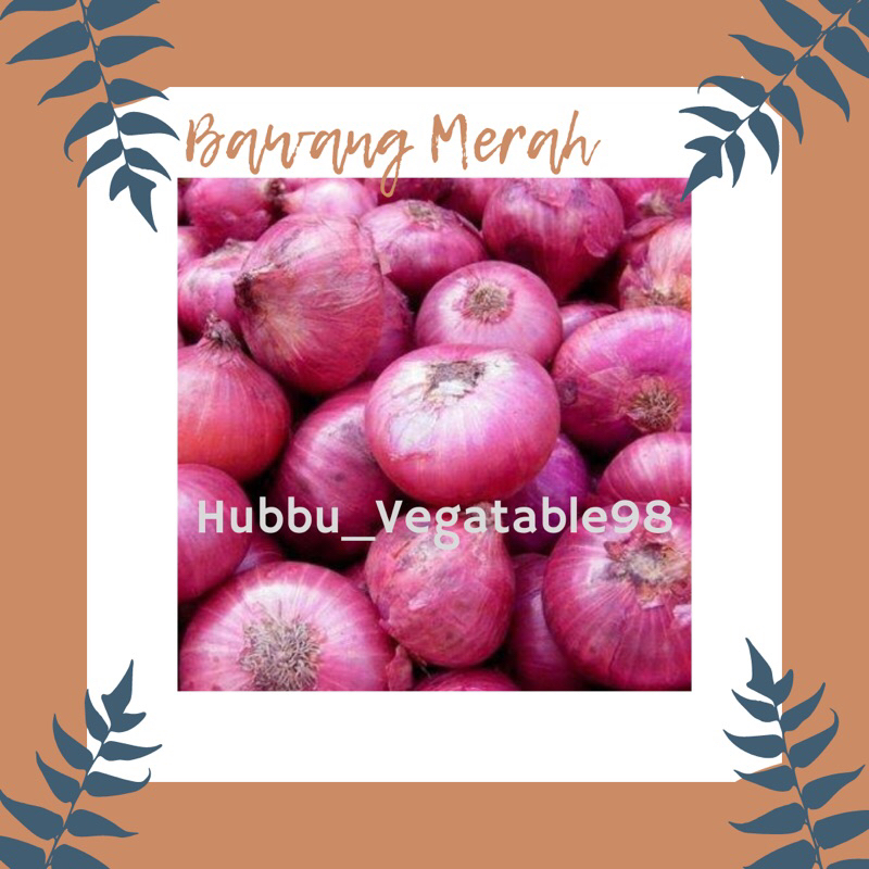 

Bawang Merah