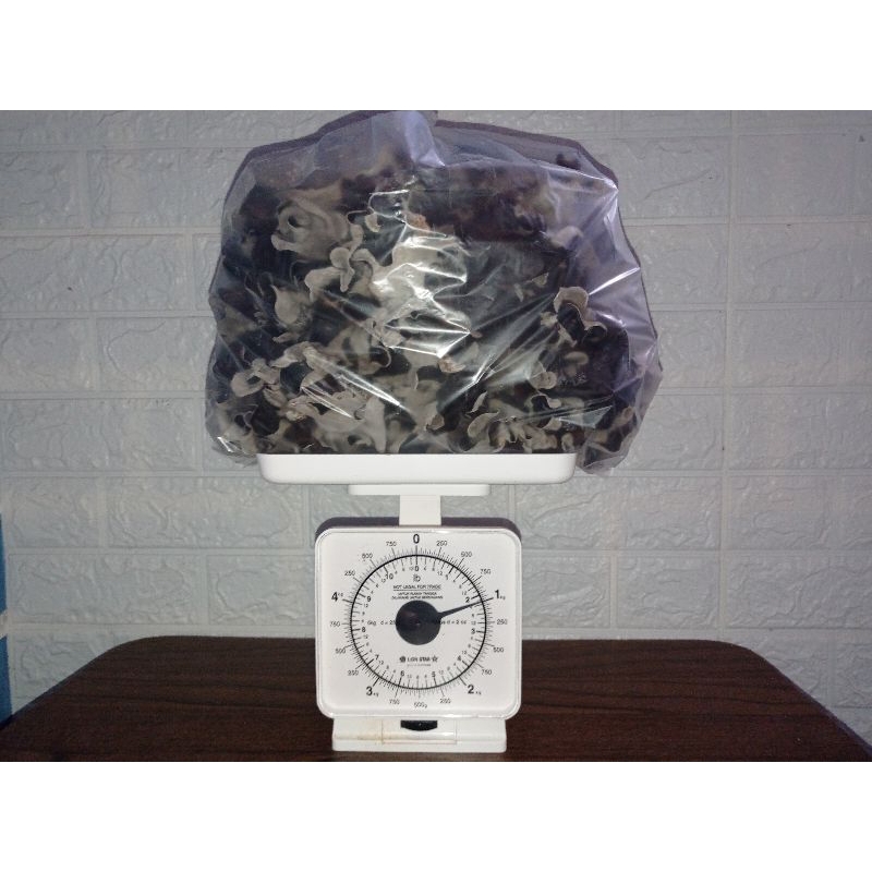 

Jamur Kuping Kering Kualitas Super 1KG