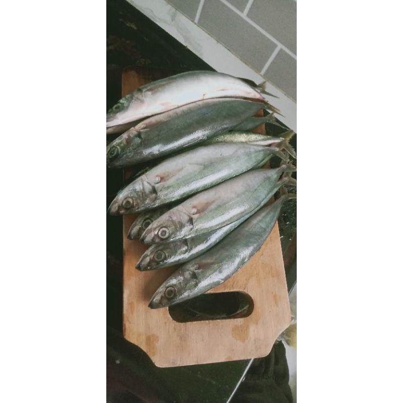 

Ikan Layang Fresh Frozen Food 1kg