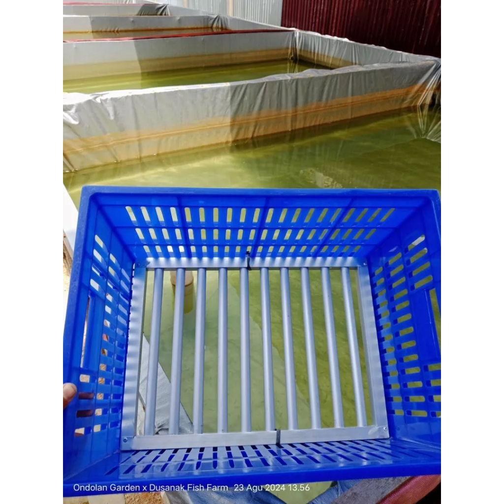 Bak Keranjang Sortir + Alat Sortir ikan lele alumunium Ayakan Lele Saringan Lele Seritan Lele