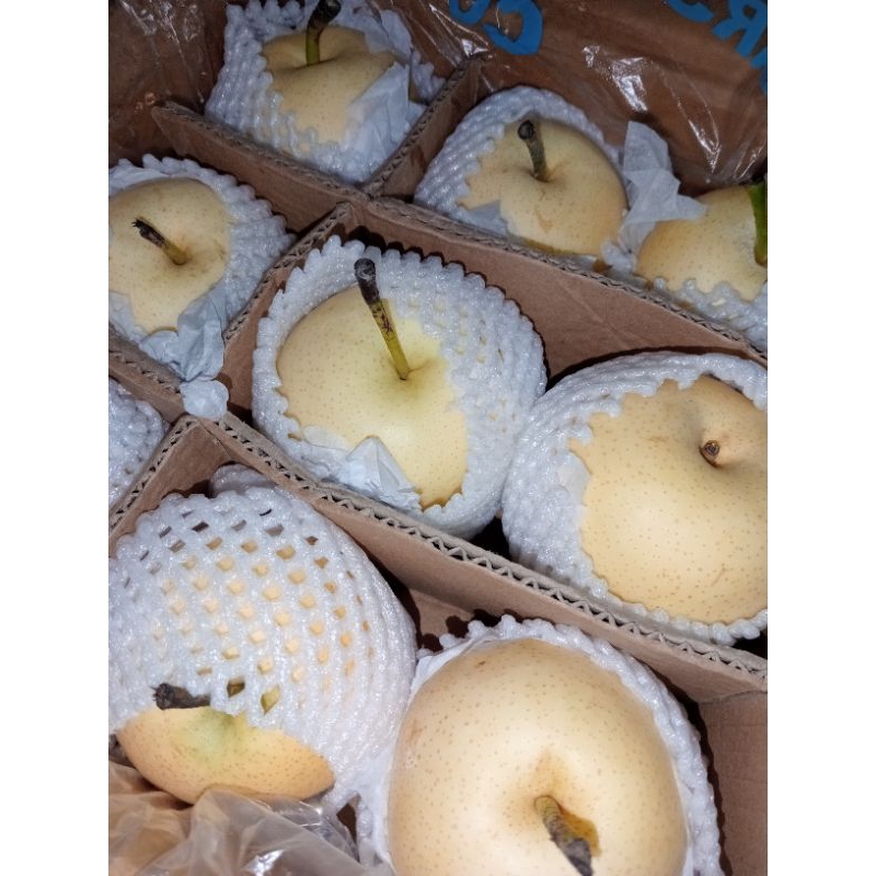 

Buah pear century berat 1kg