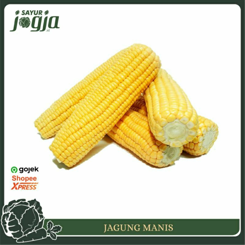 

Jagung Manis per Biji