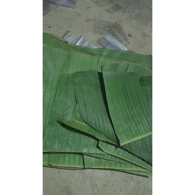 

daun pisang segar daun pembungkus