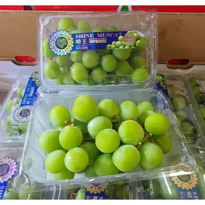 

Shine Muscat Box 500gr