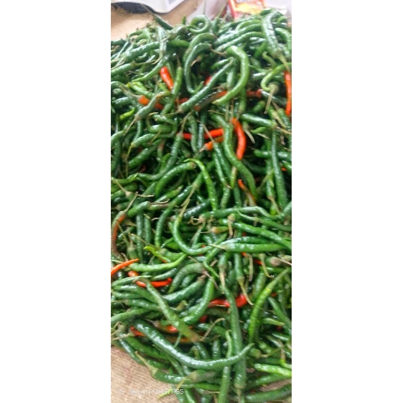 

Cabe Hijau Paketceban
