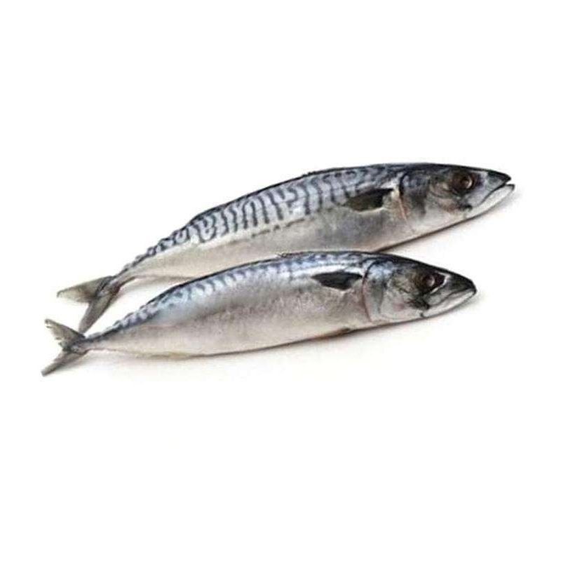 

Grosir Ikan Salem Segar 250gr