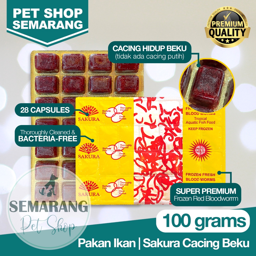 Frozen Bloodworm SAKURA Cacing Darah Beku Premium 100gr Cabek Kapsul Pakan Ikan Cacing Es 100 gr