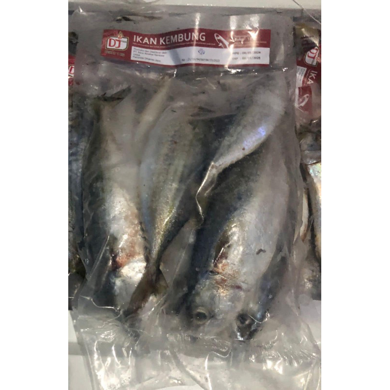 

IKAN KEMBUNG 1KG