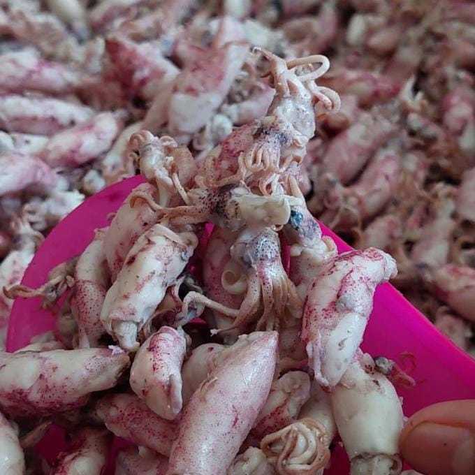 

OBRAL!!!Cumi baby asin kering 1000 gram