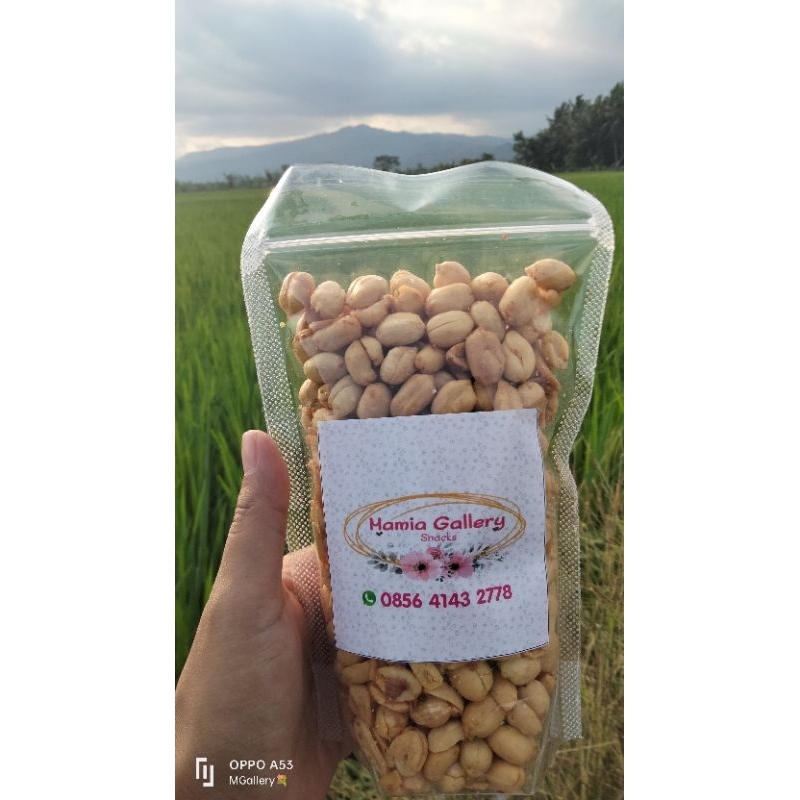 

Kacang Bawang rasa Original (Asin Sedang) Premium 100% Renyah Kriuukkk Puoollll