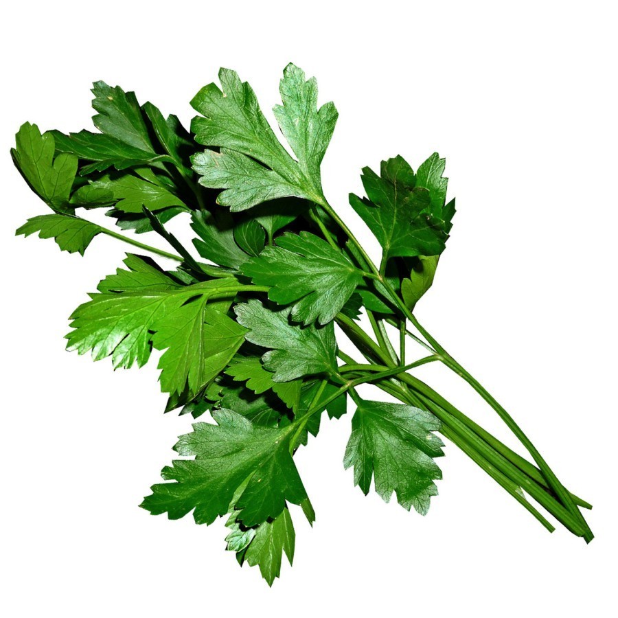 

PARSLEY FLAT ORGANIK BSP FARM 100GR