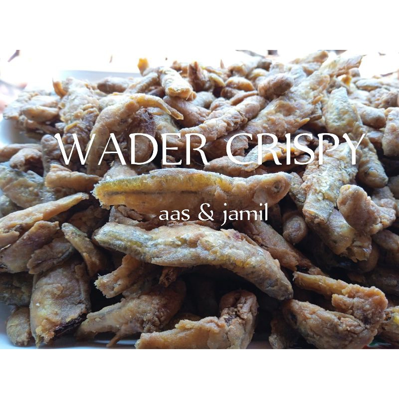 

Ikan Wader dan petek Crispy baby fish 250gr