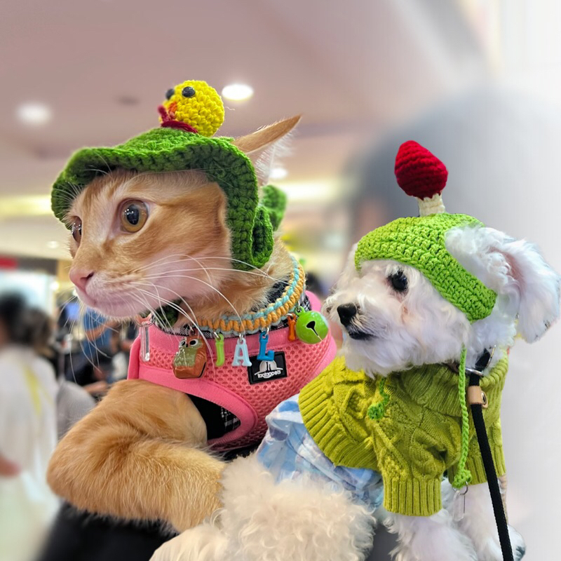 Kräva Pets - Topi Anjing Kucing / Pet Accesories / Ready Stock / Pakaian & Aksesoris Hewan / Pakaian