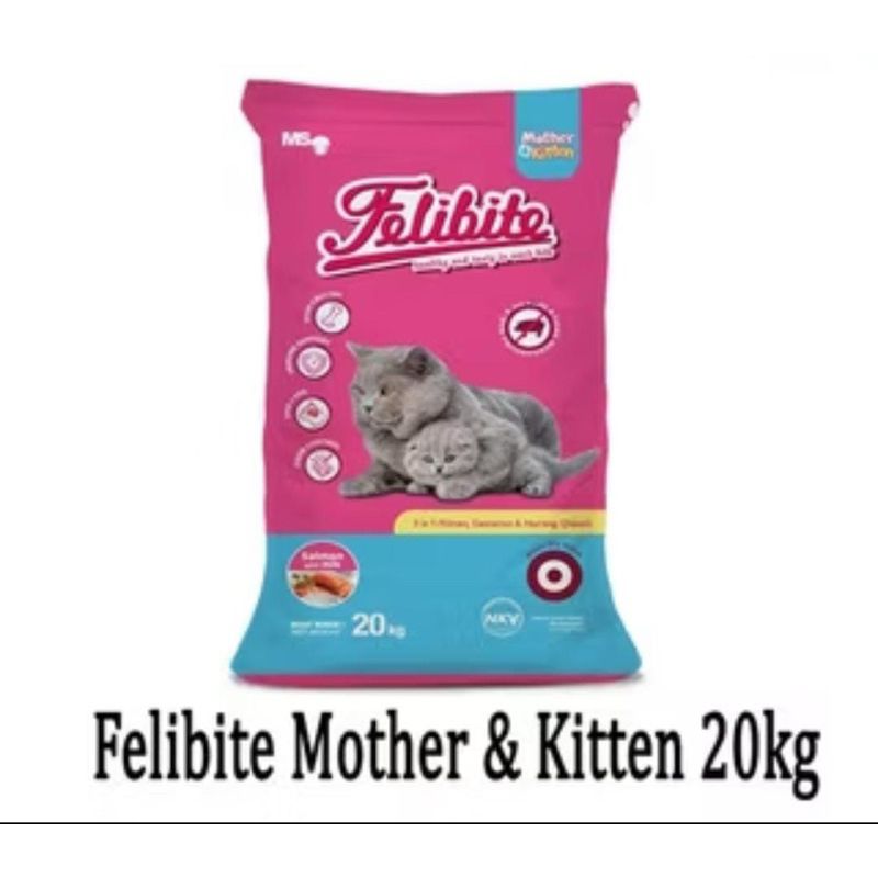 FELIBITE MOTHER & KITTEN SALMON 20KG