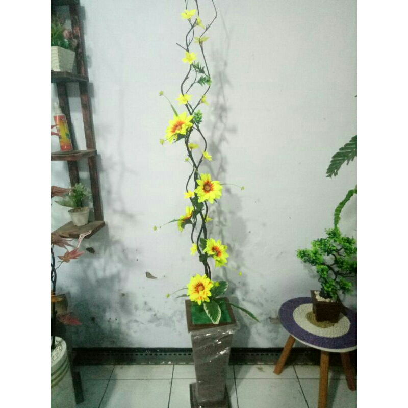 bunga sudut matahari ulir150cm+pot