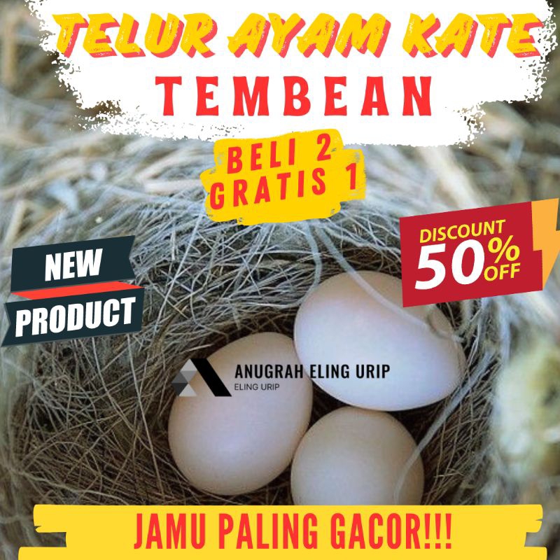 

Telur ayam kate tembean asli kualitas terjamin fresh