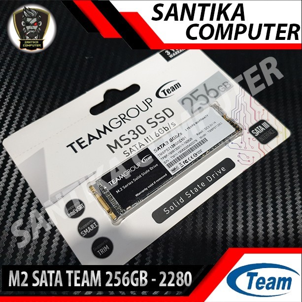 TEAM SSD MS30 M.2 / M2 SATA 256GB / 256 GB 2280 TM8PS7256G0C101