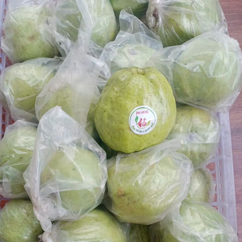 

Jambu kristal