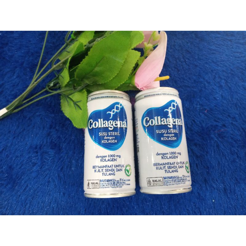 

COLLAGENA SUSU STERIL