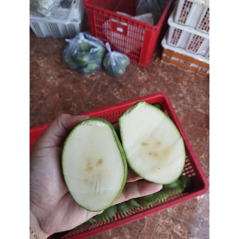 

Mangga Madu Manalagi