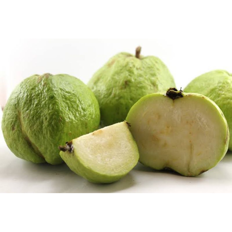 

JAMBU KRISTAL FRESH