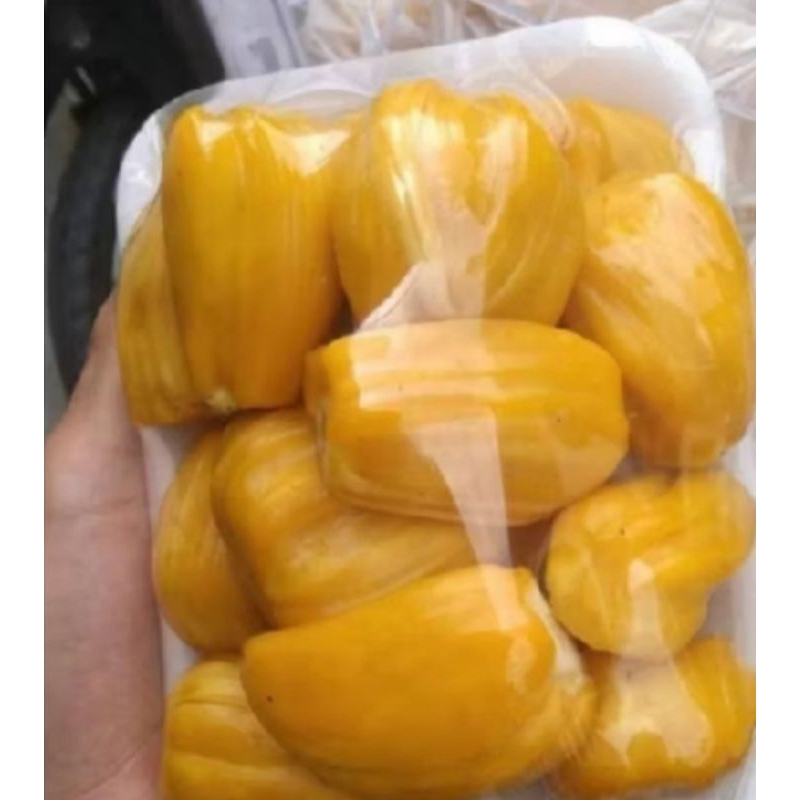 

buah nangka s legit 500grm