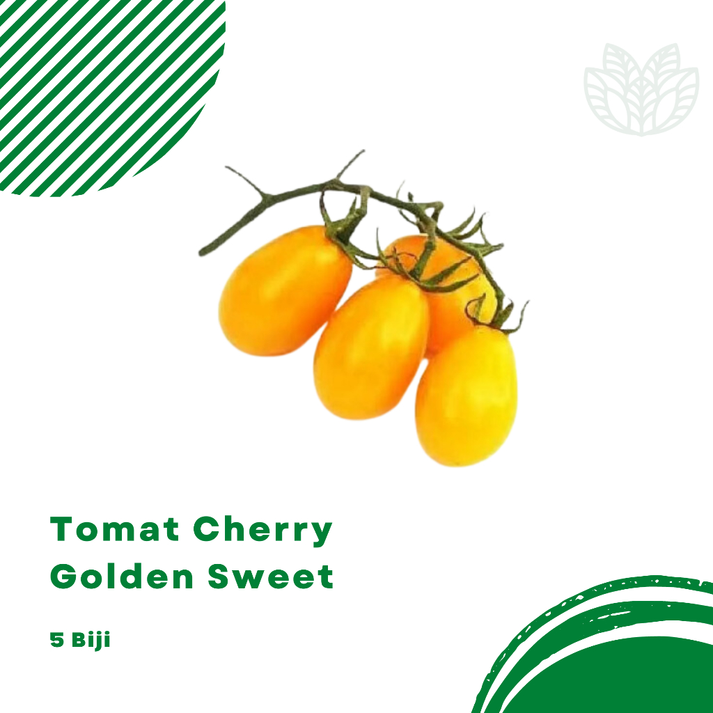 Biji Benih Tomat Cherry Kuning Golden Sweet Cherry Lonjong