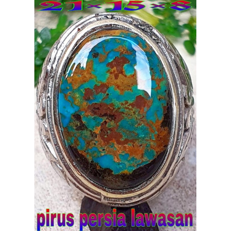 

Natural pirus Persia kombinasi kontras