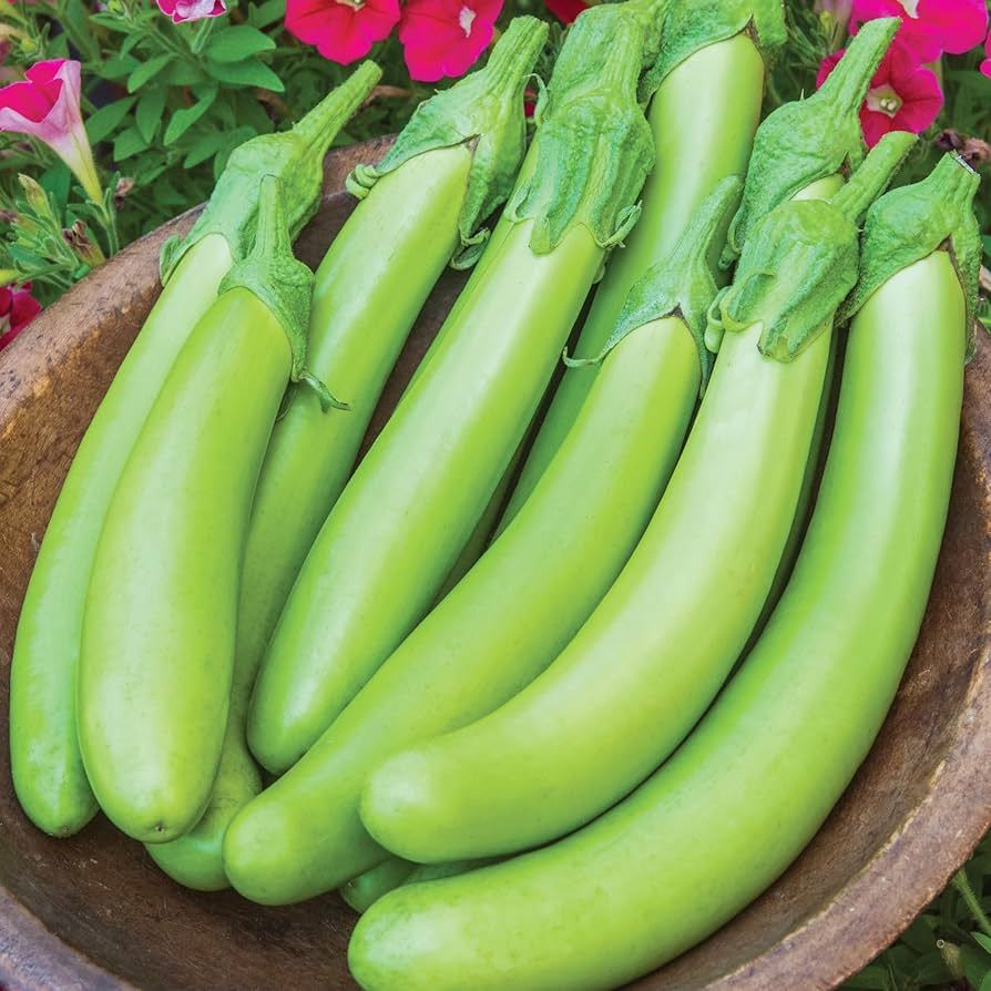

terong hijau /600g
