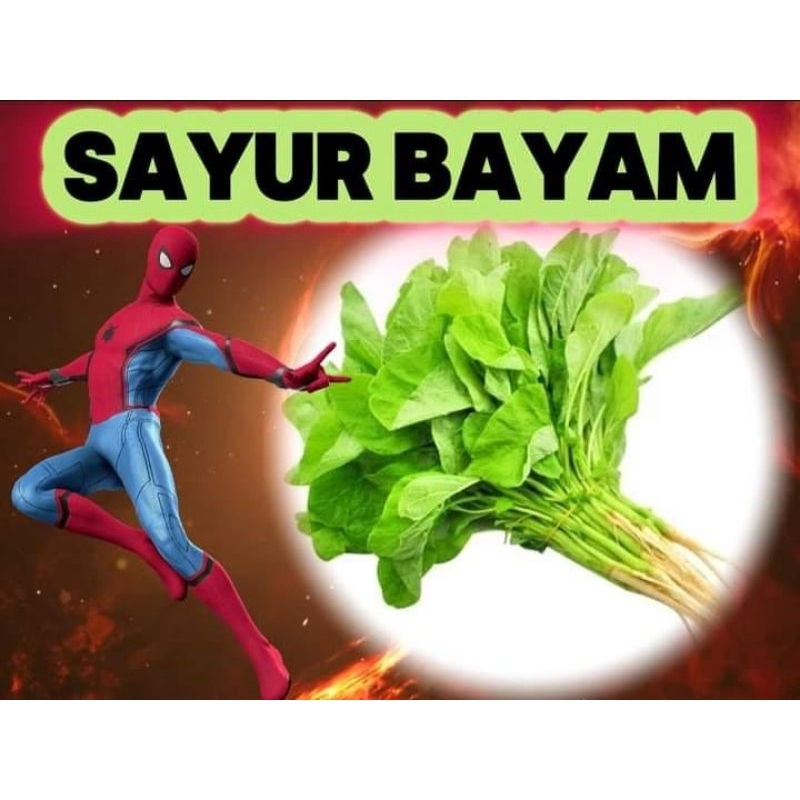 

SAYUR BAYAM 1 IKAT