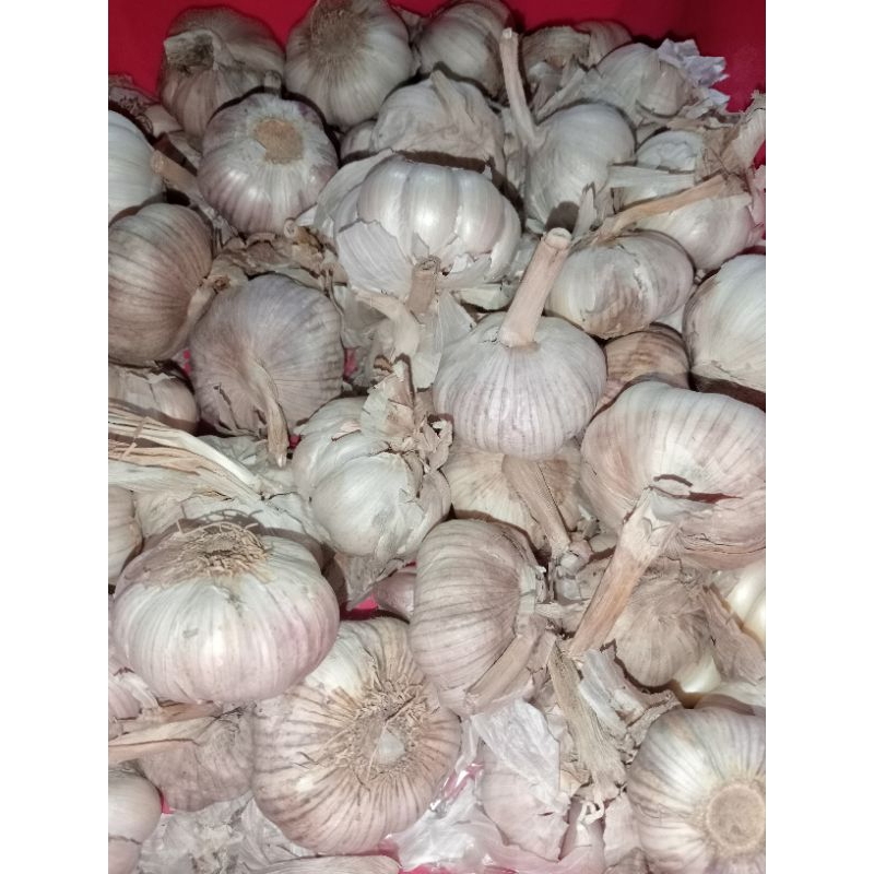 

bawang putih berat 250gr
