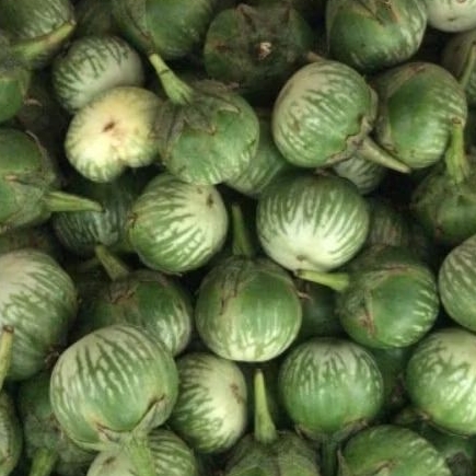 

Terong Bulat Lalap 500gr