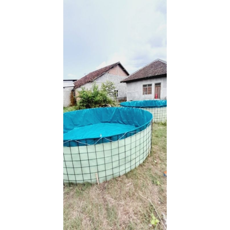 Kolam Terpal bulat D 5 / T 1,5 untuk budidaya ikan lele di kolam terpal.