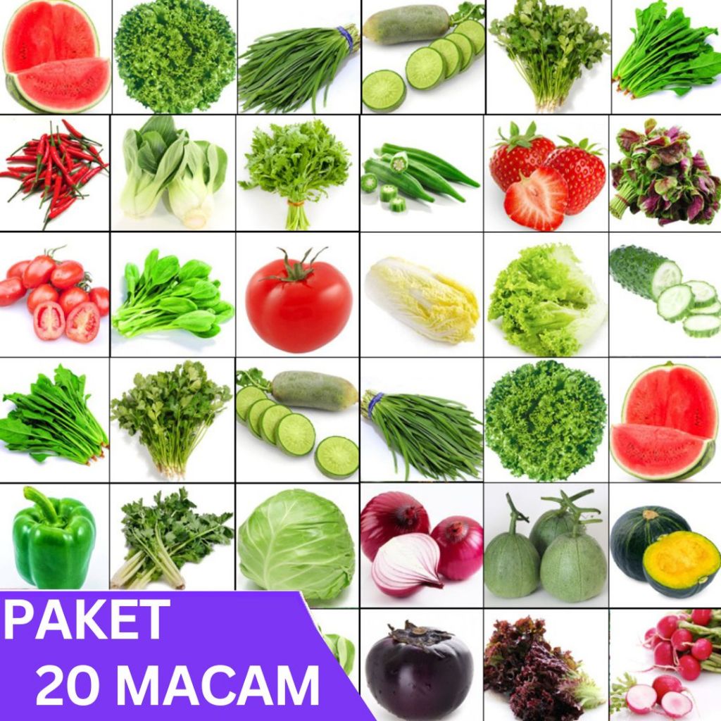 PAKET LENGKAP 20 MACAM BIBIT TANAMAN SAYUR SAYURAN MUDAH TUMBUH