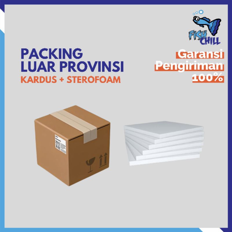 

PACKING AMAN LUAR PROVINSI & KOTA JAMBI || KARDUS + STEROFOAM