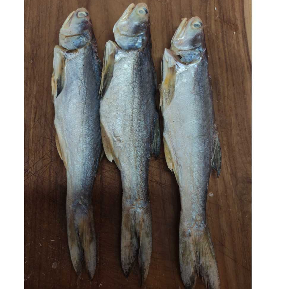 

Ikan Asin kering kuro - per ekor